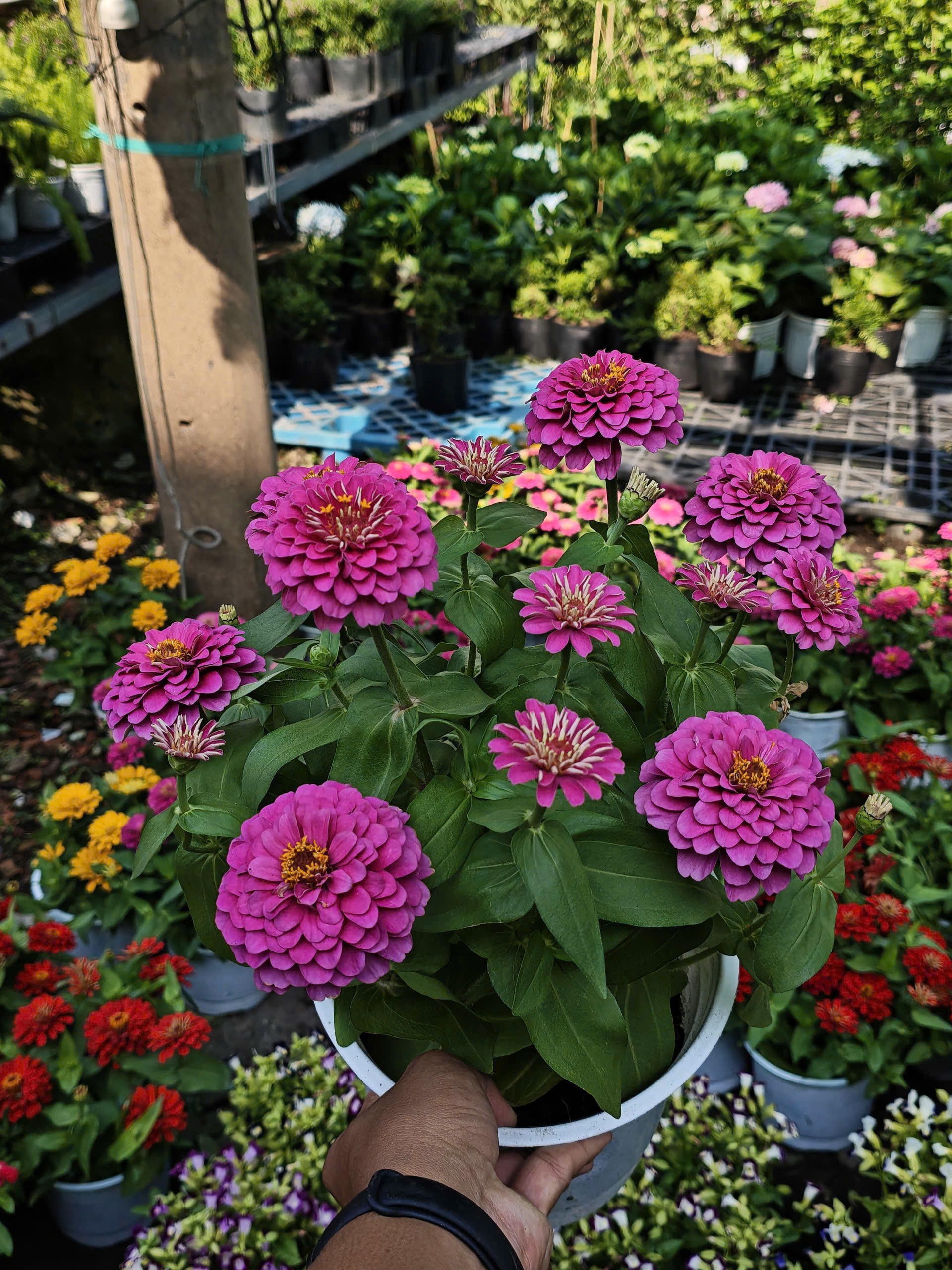 z7641511277976-a6adcbe5fea3ccd77bd849846d99aef5