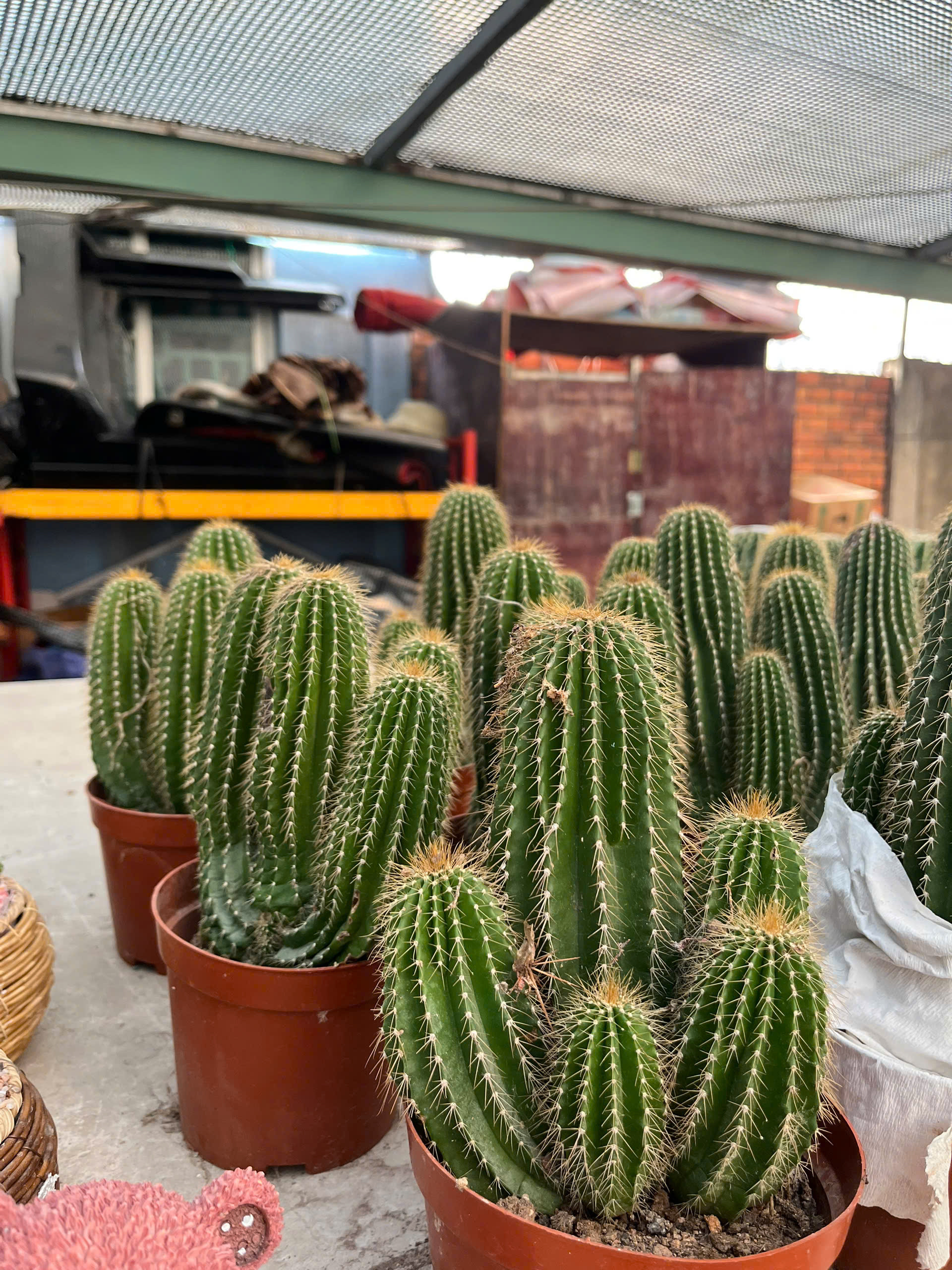 z7641512660049-3892894c3b8f65804beb58f8eb7e7820