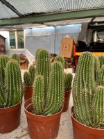 z7641512662541-15783e3403ba7d3141b8ead26950d680