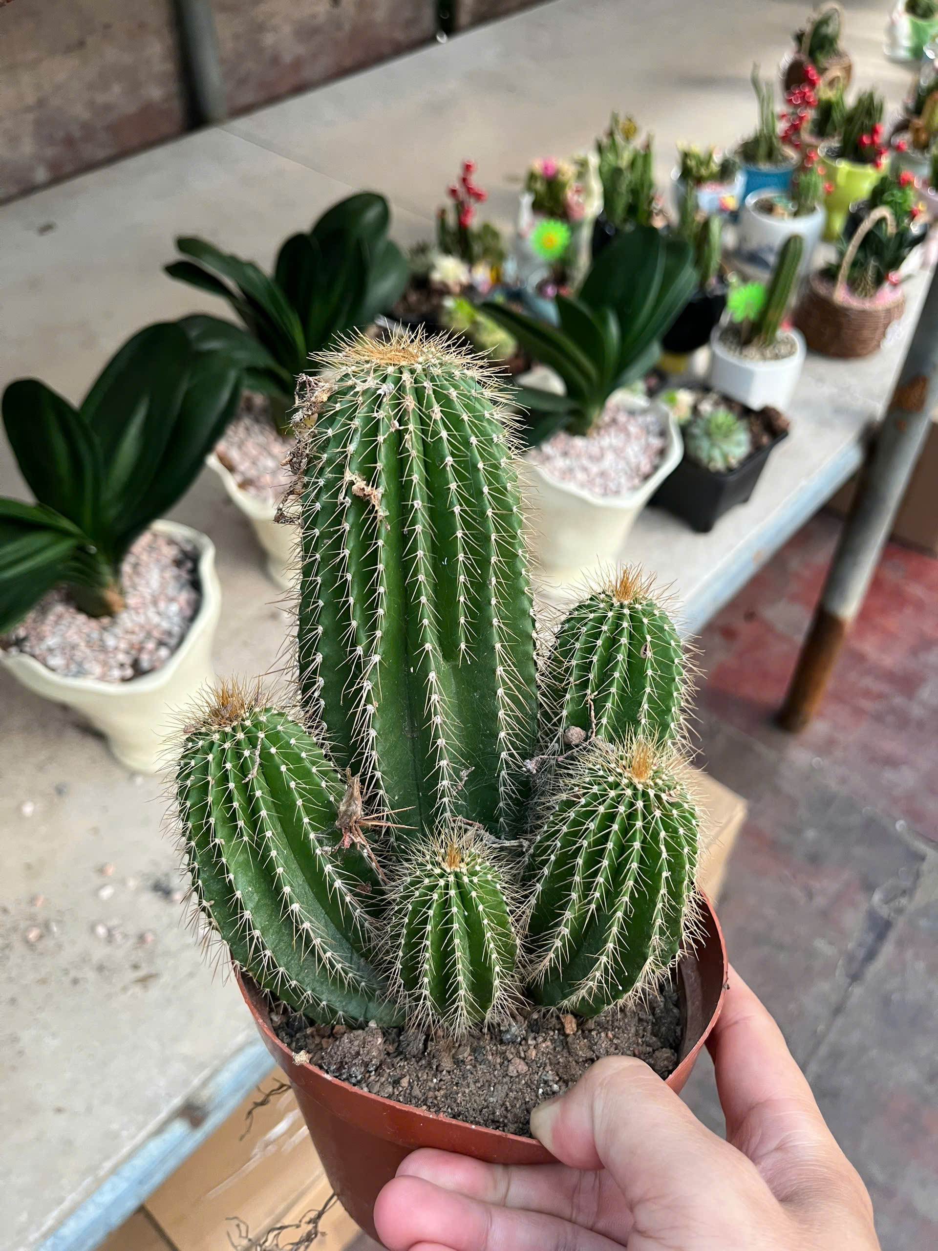 z7641512674591-a59d09a729f11982d04b974363b58eb1