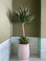 z7641542907425-0c78a188b0e18c5fdfddbd271c4bd45d