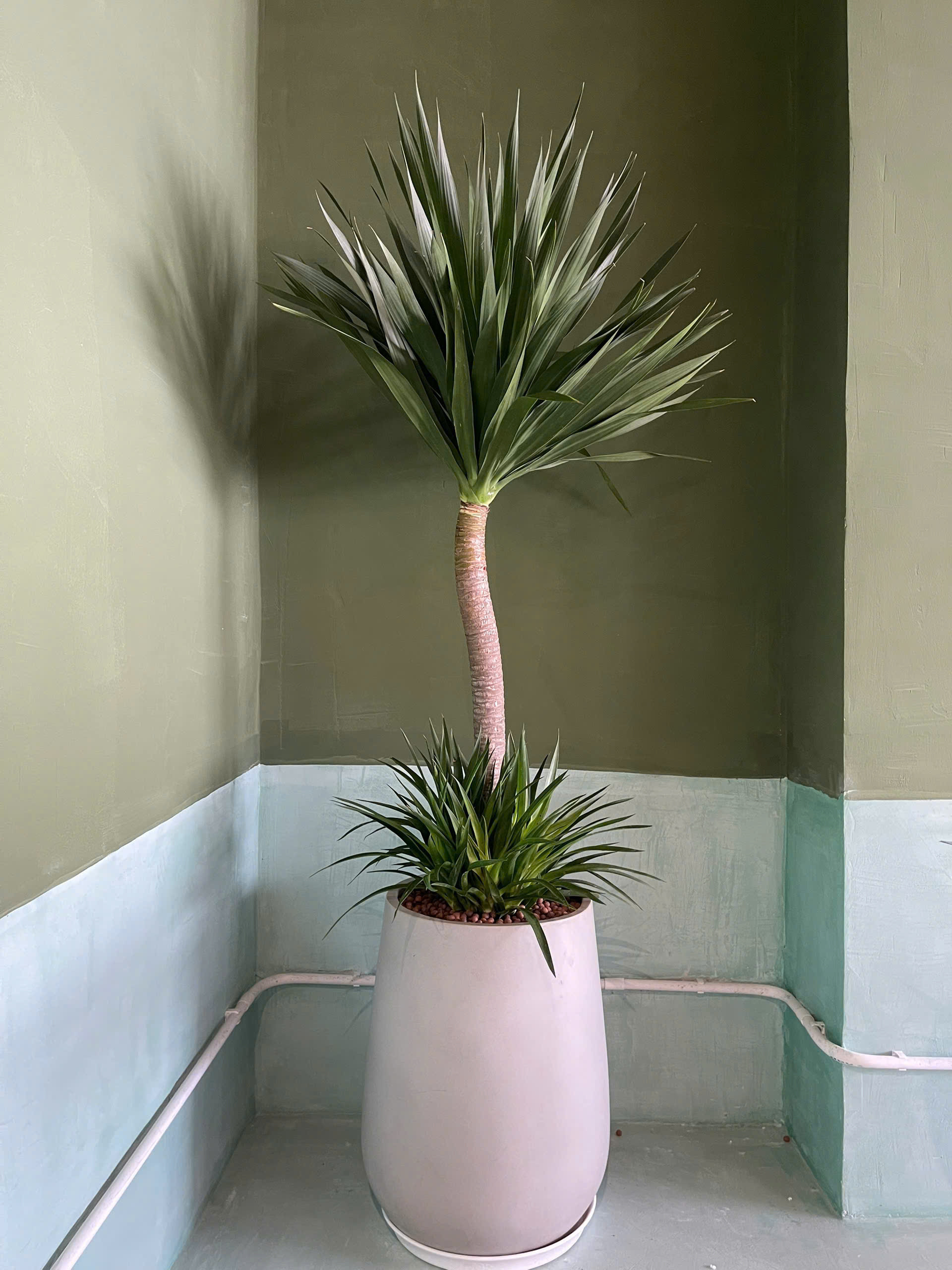 z7641542907425-0c78a188b0e18c5fdfddbd271c4bd45d