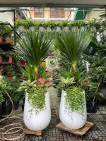 z7641544491827-7a38cce018b3cccccd646c6788e1986c