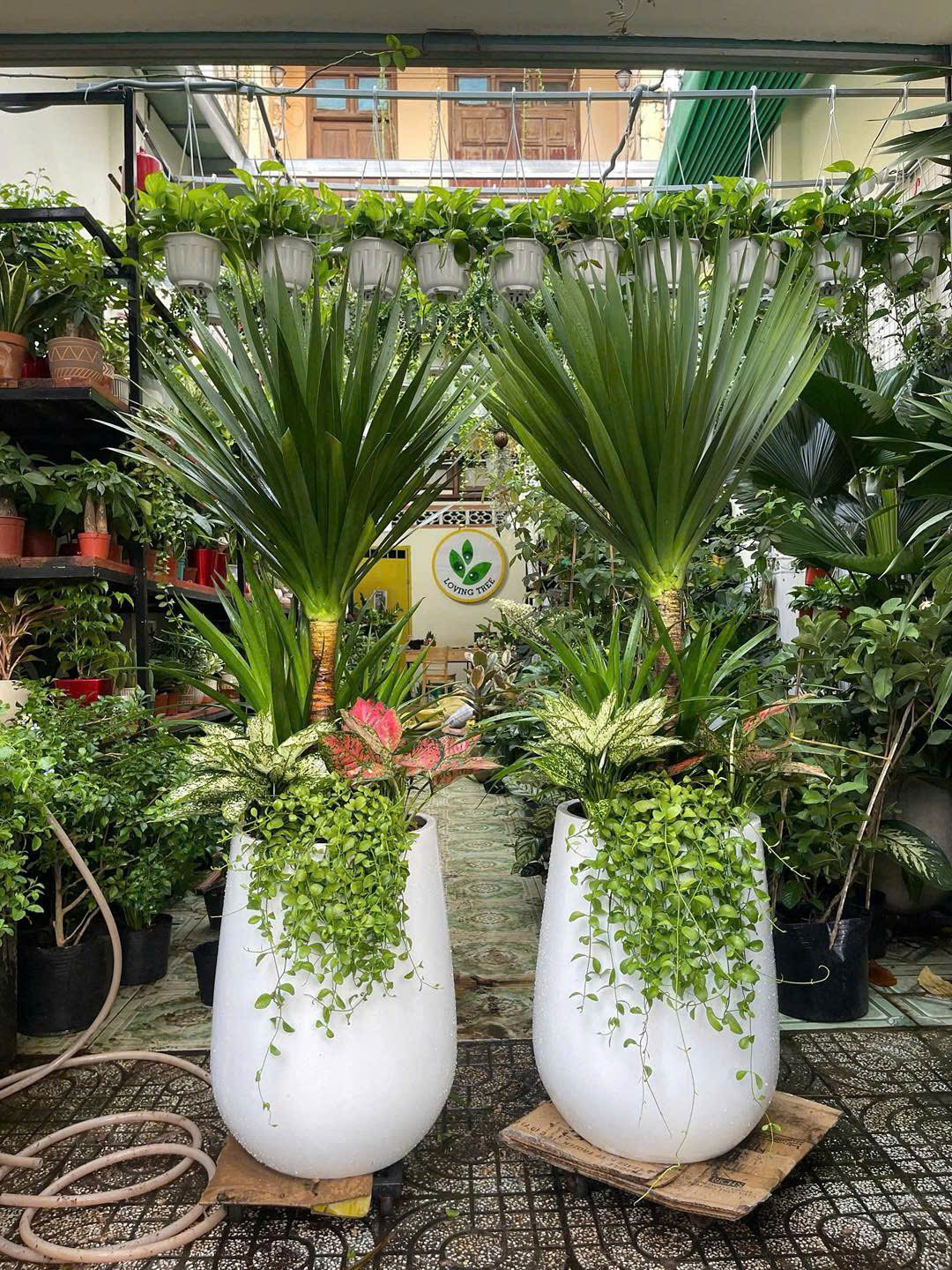 z7641544491827-7a38cce018b3cccccd646c6788e1986c