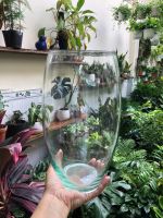 z7641555805385-3277554078a8647973a8eb087658ee78