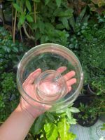 z7641564739756-b58b8fba7cc65ea677483d72238a01ce