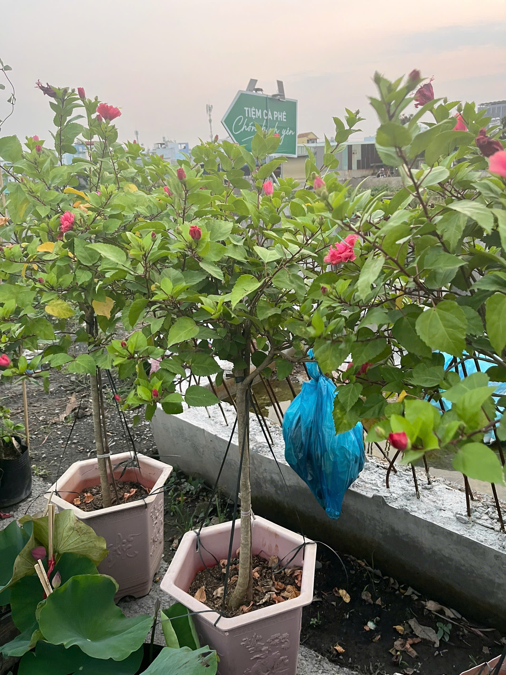 z7644470821538-508e4c0081a8d2a71b50d26ba0182eb4