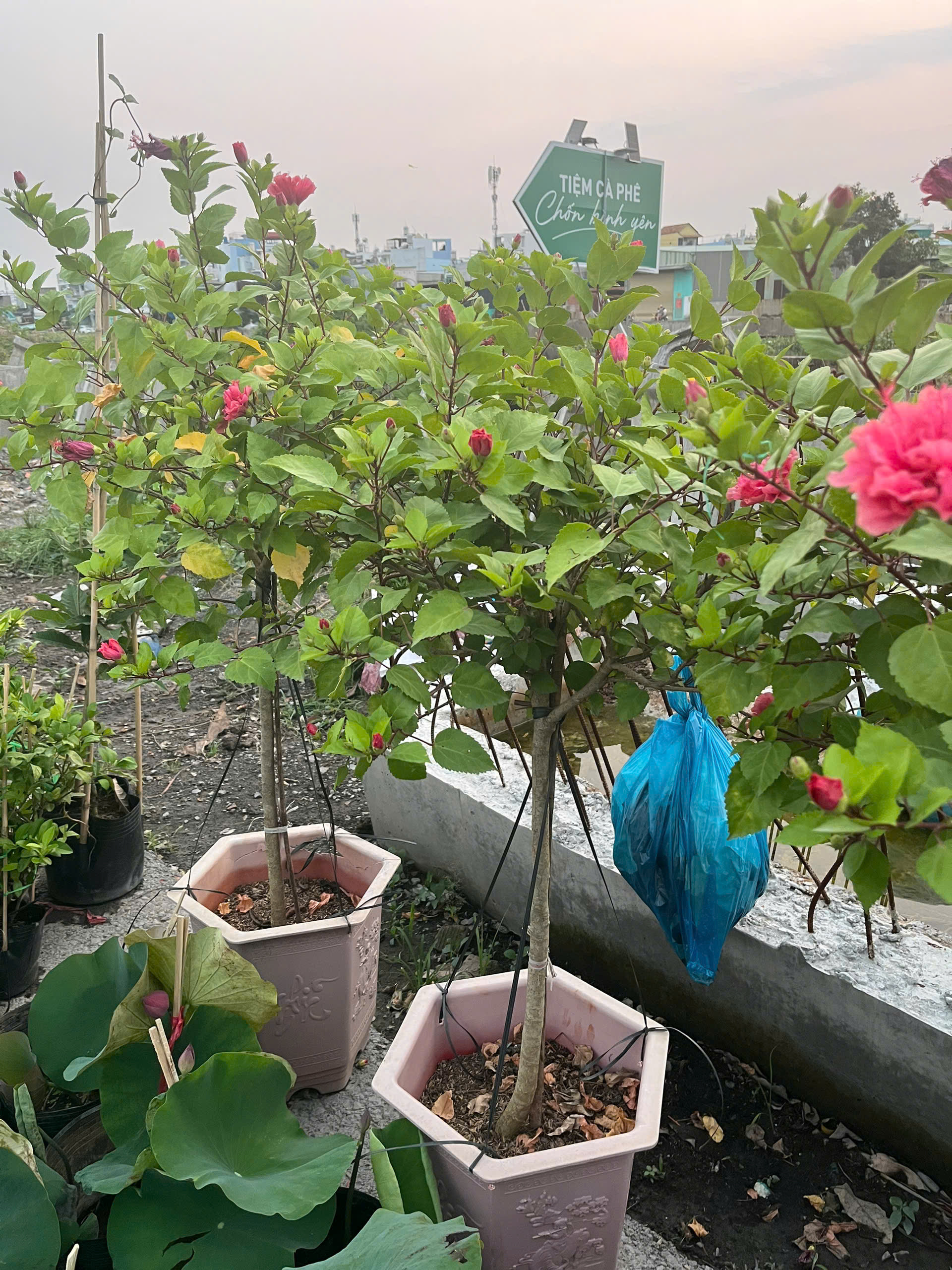 z7644470825540-420cd7c77bbc606bedc55f51dd64f13e