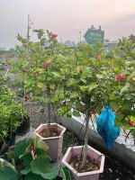 z7644470834803-6b324eeb8a88ca17592d59832978efdb