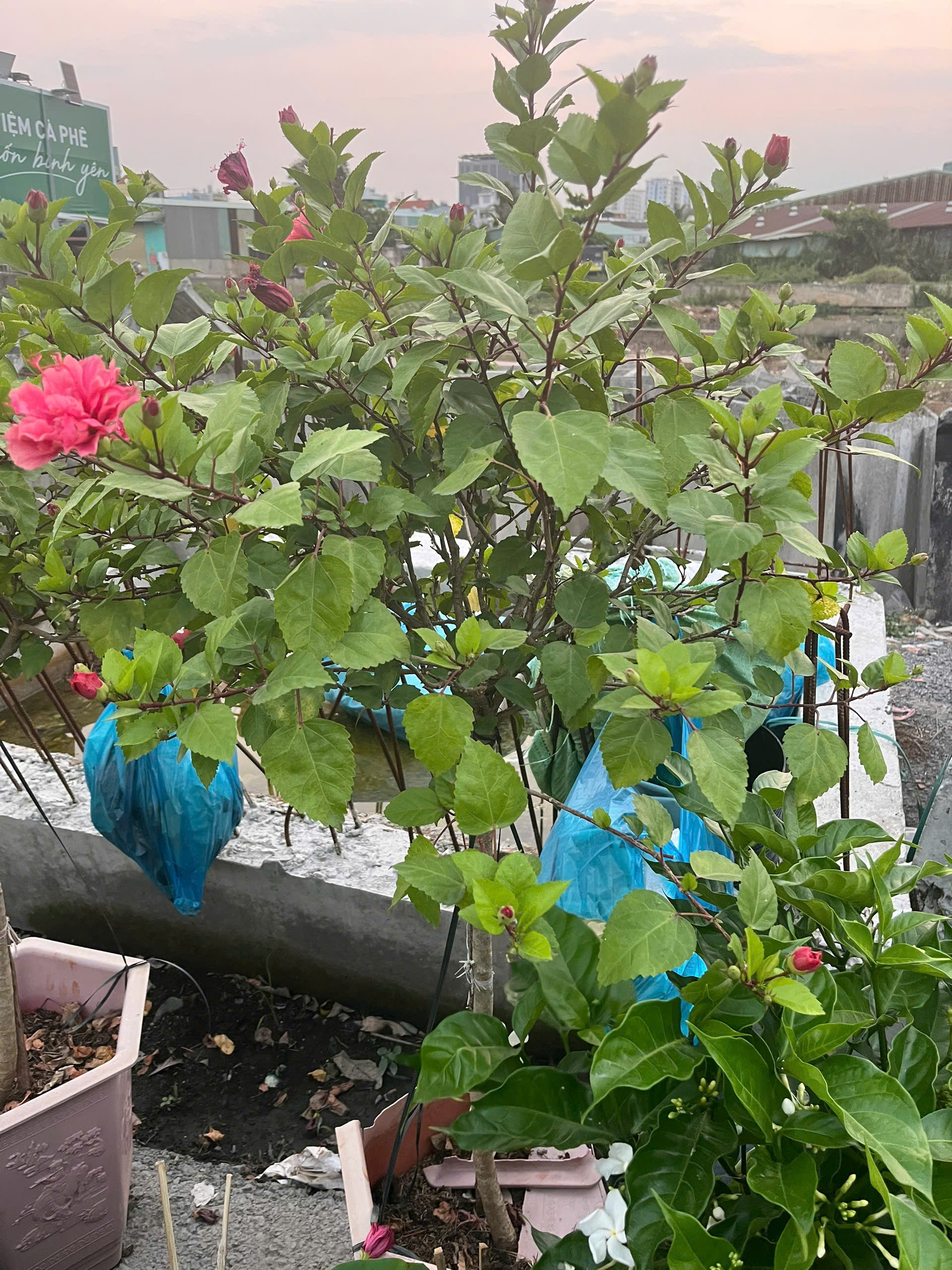 z7644470836692-2f0ee2f7ffac4ff772e2afb77f20d9dd