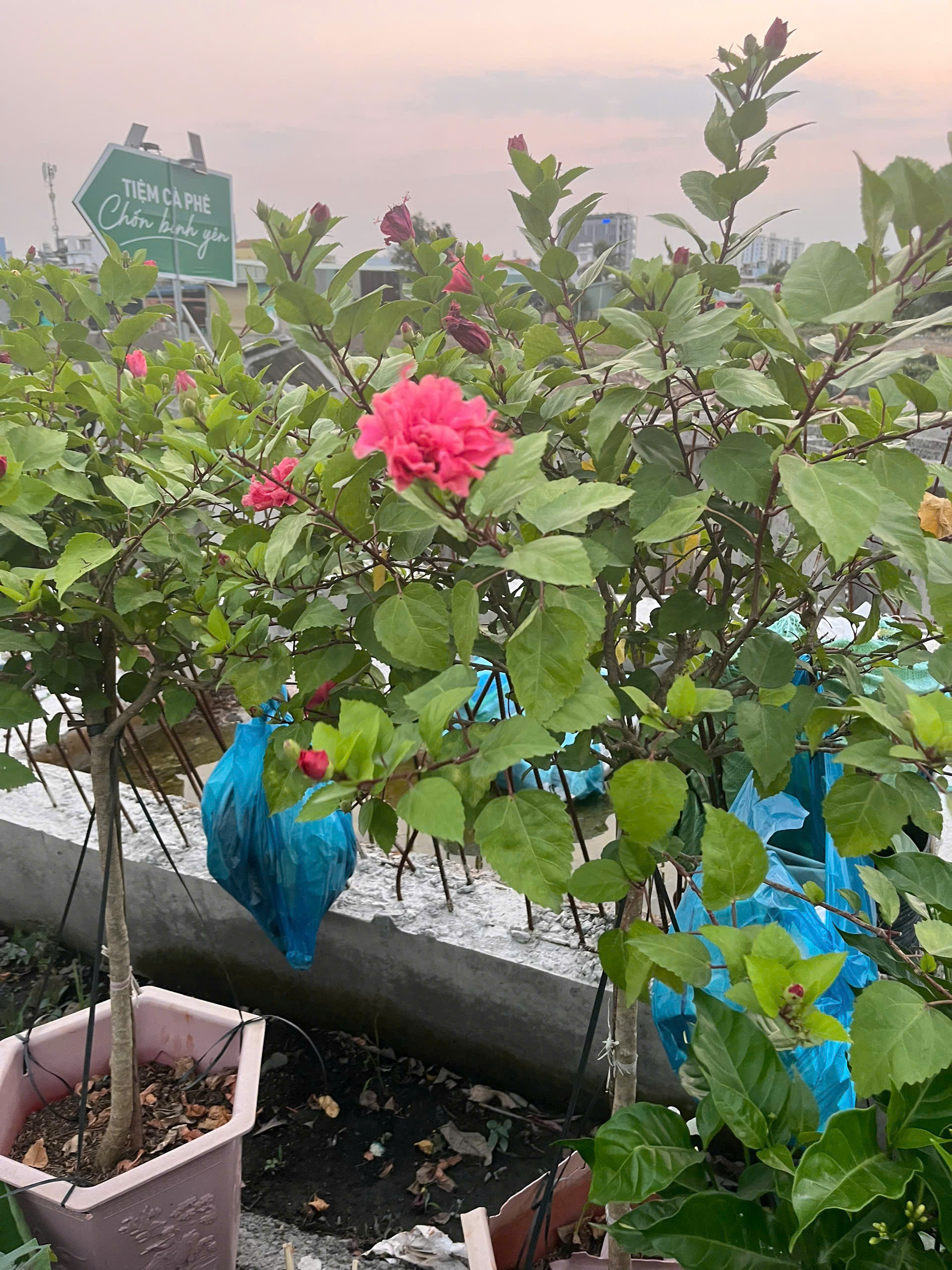 z7644470839375-498c916dd4dbd99af711fd78e9e91350