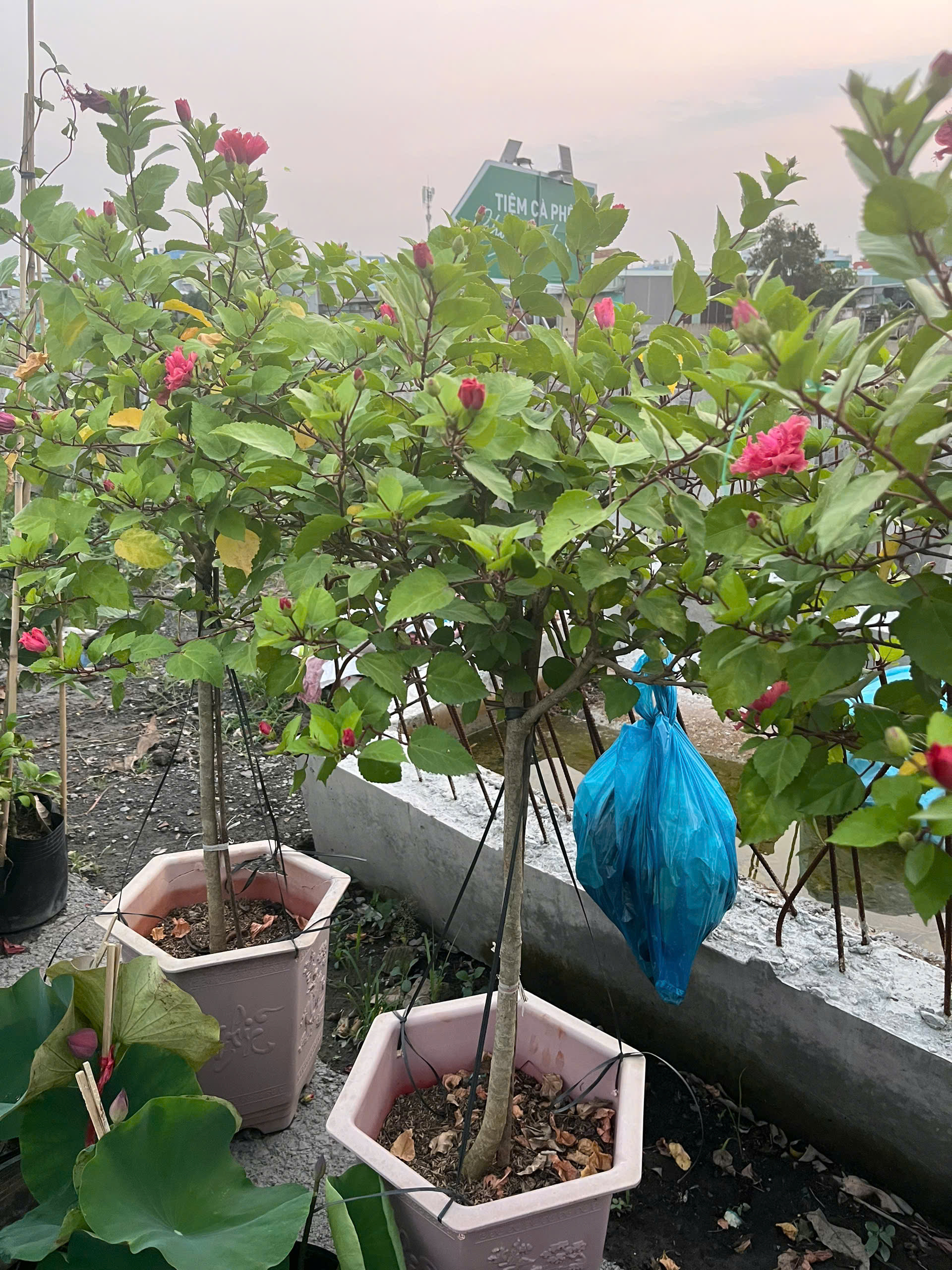 z7644470848018-6ea4a44f4b0edbed8faab25fbdec2115