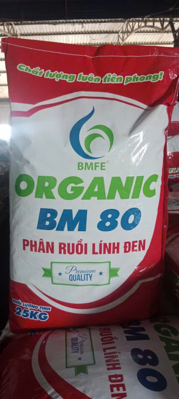 z7649767864219-810bd542d650da0403d04cb9bb1023eb