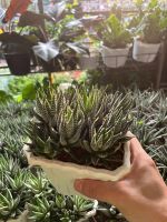 z7675627863349-a6698710032af3549720a2eeecc96f20