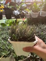 z7675627863350-16f4cd62c5800635bca11ffcac435a3c