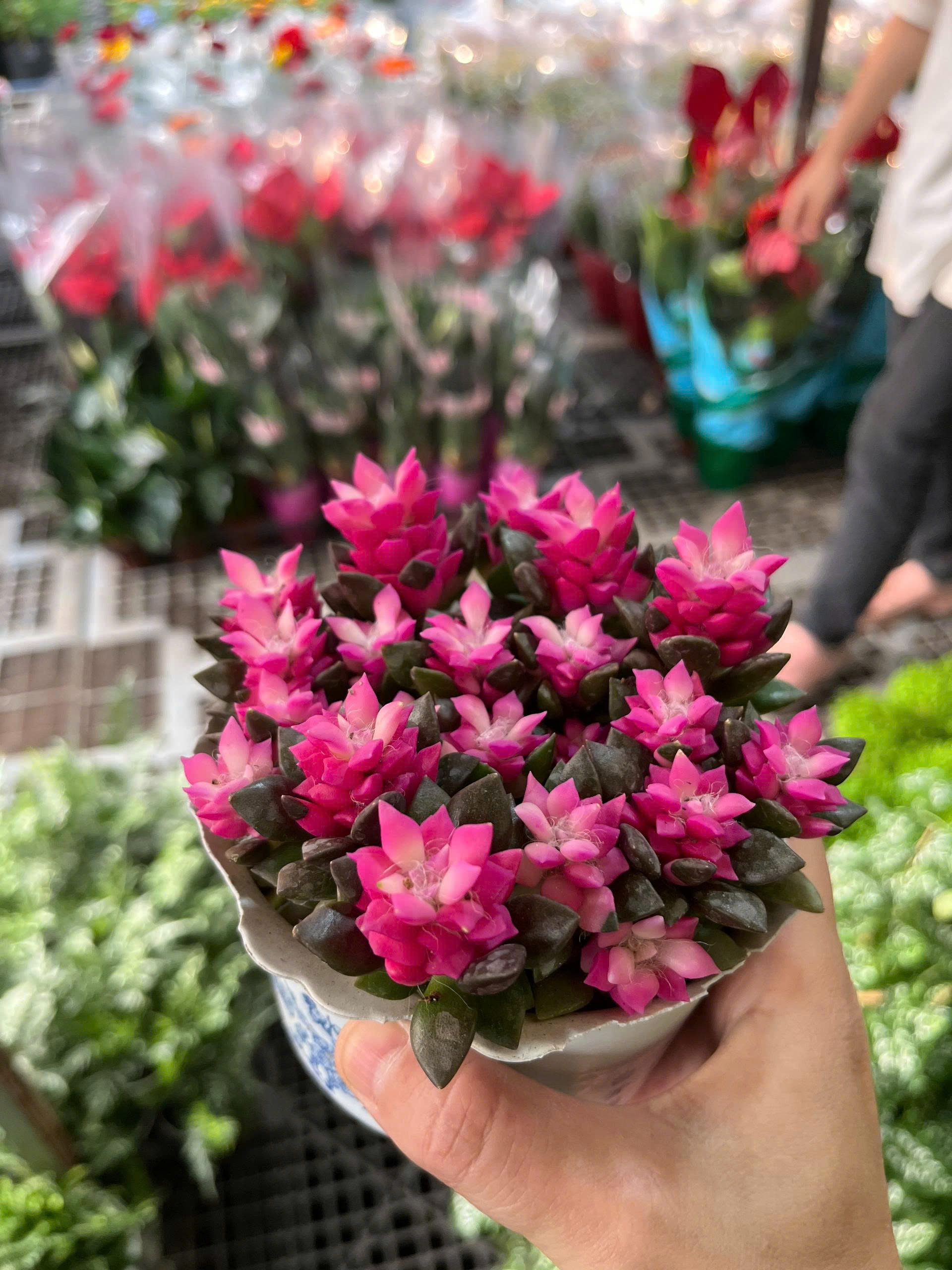 z7675647035699-b33652ed1153c46d2274b7dff4980ca3