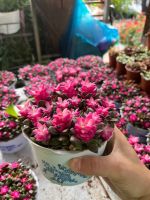 z7675647051068-ff2e3fa8e29aab706a1ae7f03ab68504