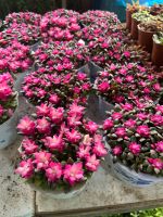 z7675647081680-27a74a9ca713e73acf11672565fe6300