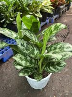 z7675662754726-d56ea150d85582a68f6878465fafbf67