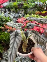 z7675677025348-a0ae843edd51f0ca9b1acd0657ee8b47