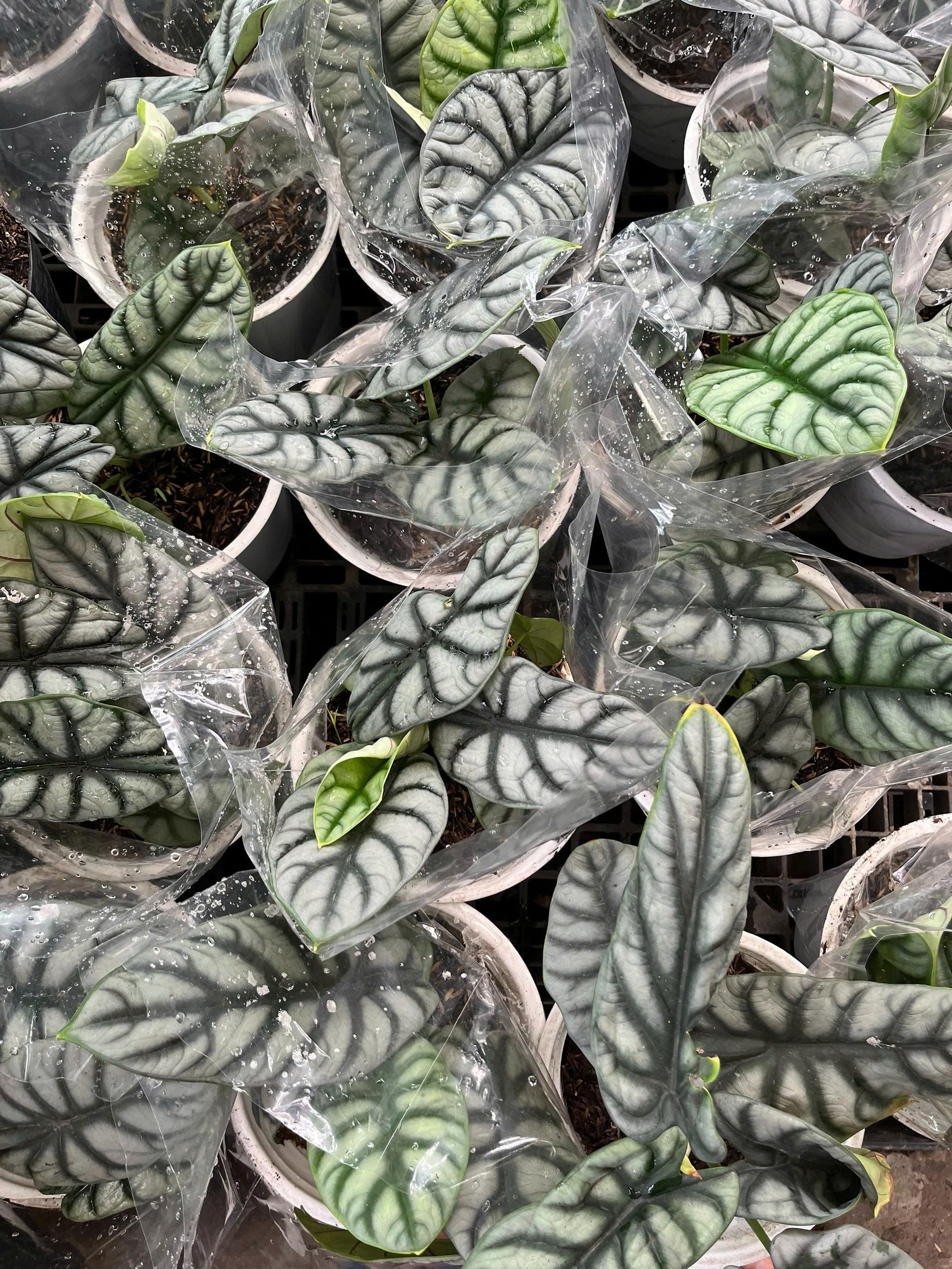 z7675677040438-2497915b69319be2801b8fdfb1a1f4cd