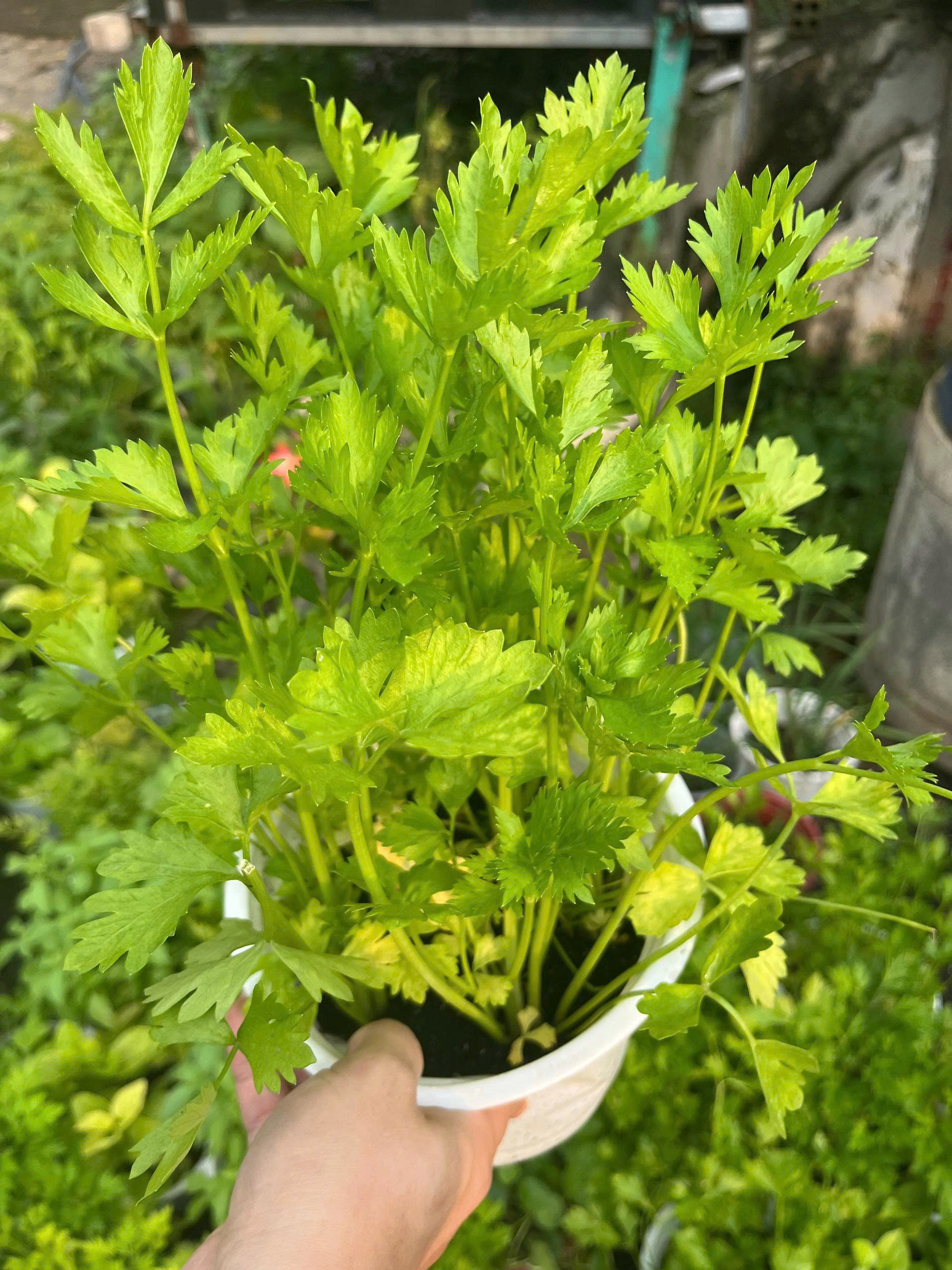 z7675698715608-593ee5659ddee69ee0f742ad97309d58