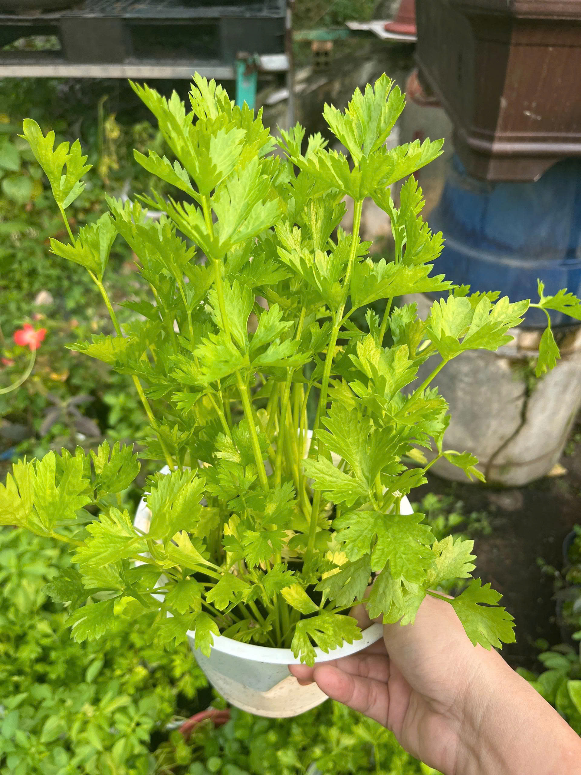 z7675698715800-9a8a38fa6f803c6f10202a2c6877bf4b