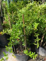 z7675719213627-a2004e85921d5b32215cd2e4b748f788