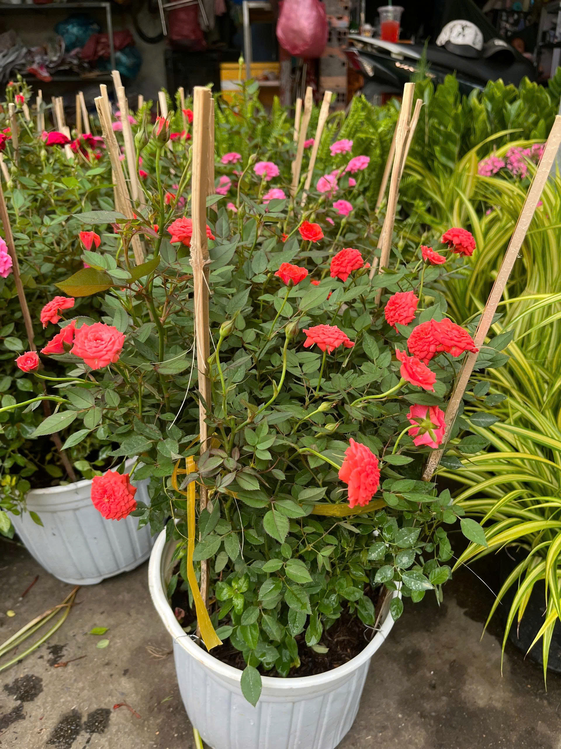 z7675735312222-630ebeec37bf5c8f51934aad2b010e52