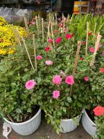 z7675735346238-13746a84161572ac811db08ef69bc80c