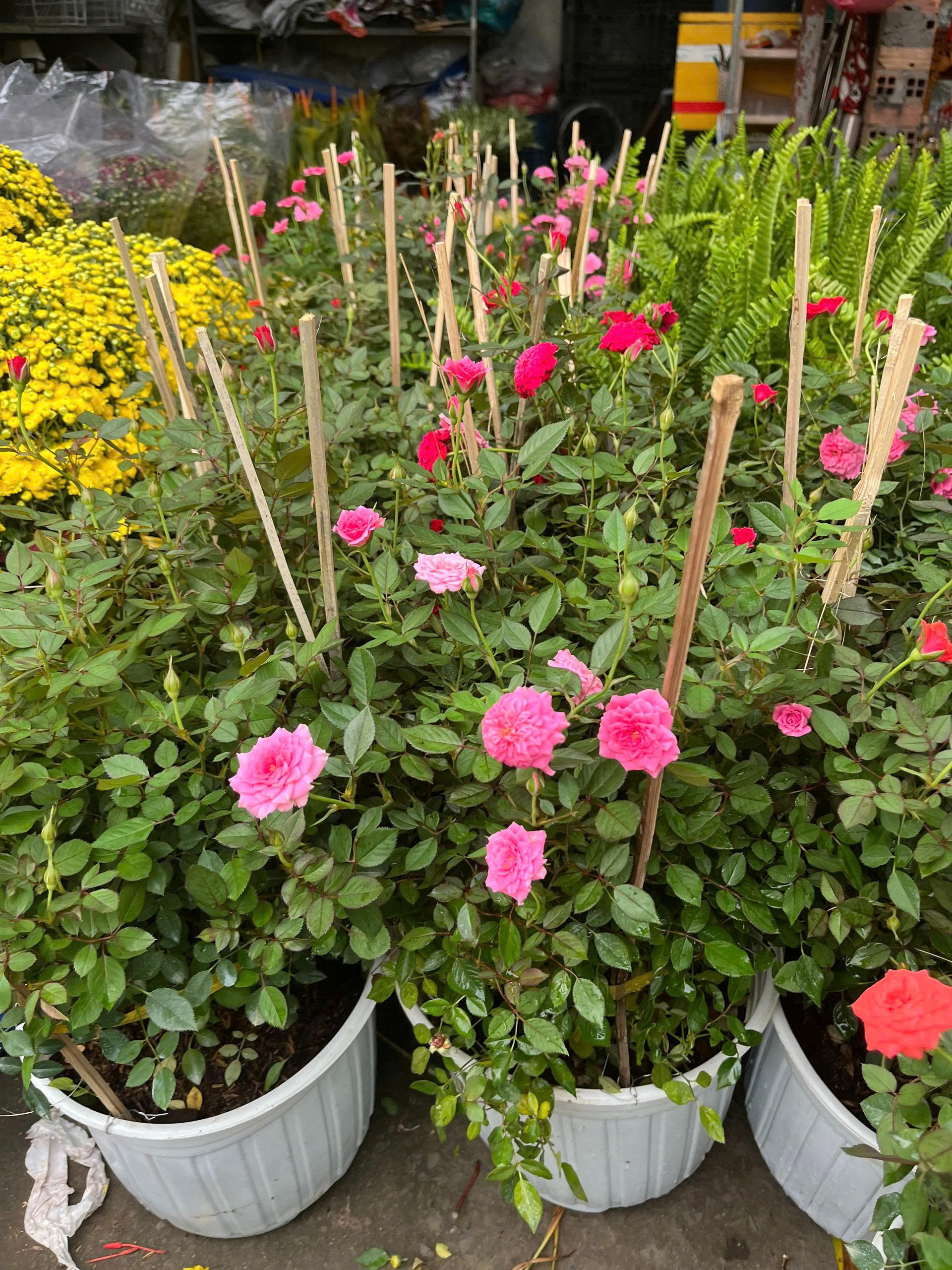 z7675735346238-13746a84161572ac811db08ef69bc80c