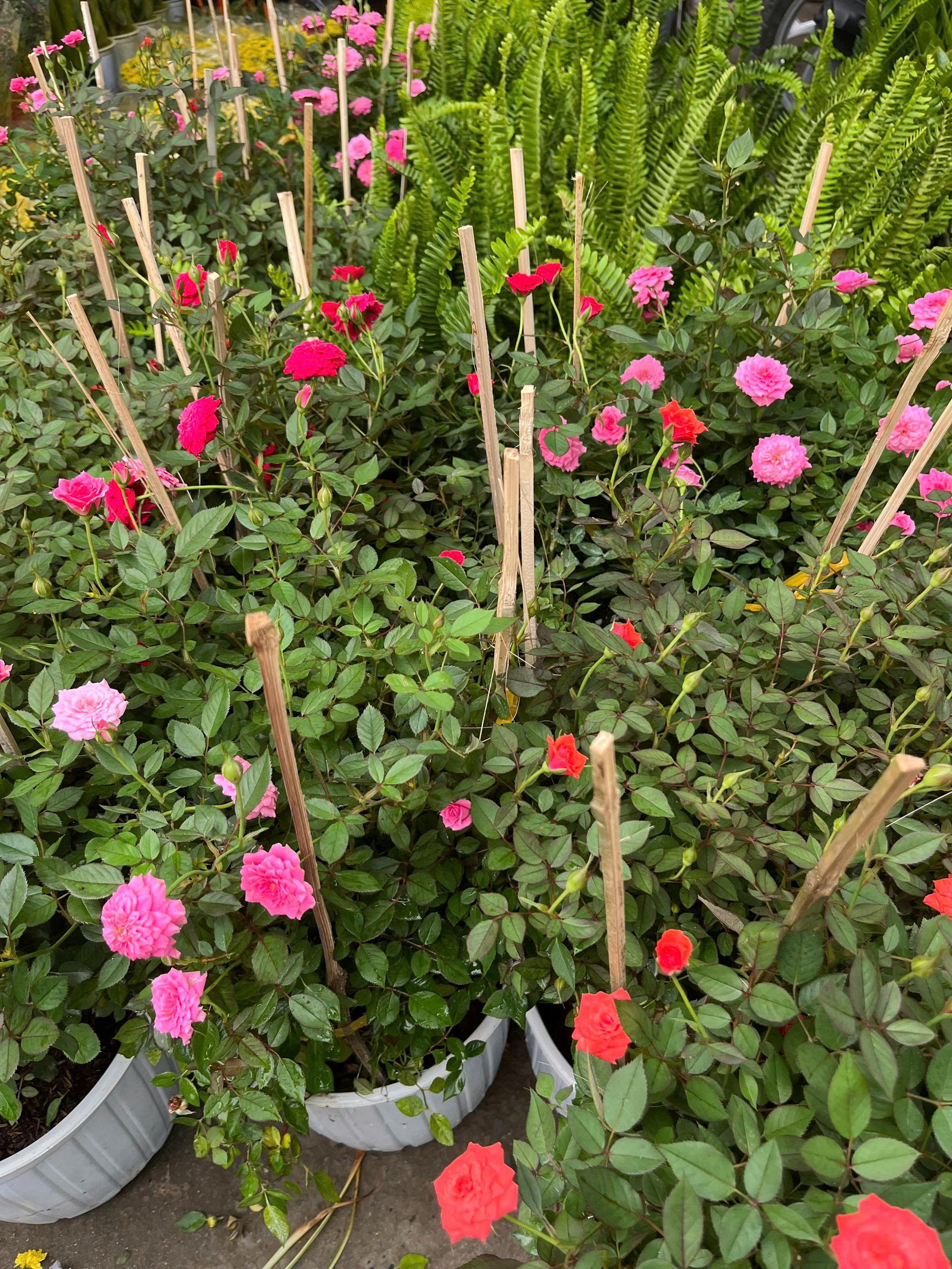 z7675735346239-709e2a00d47b8ca920f54a9a7062efbb