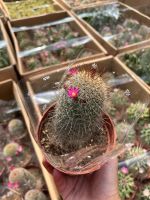 z7675849400999-d4e3cda0ae2f5061ff83d3c0d31eb9fd