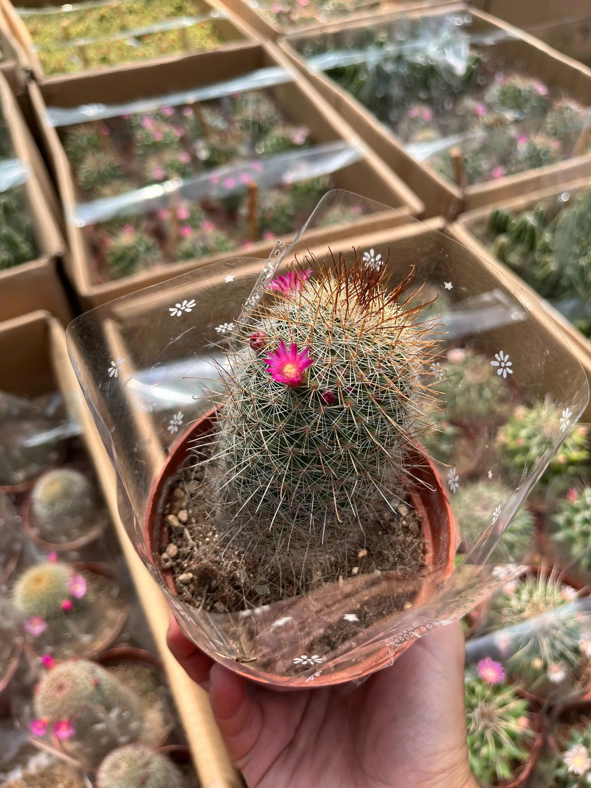 z7675849400999-d4e3cda0ae2f5061ff83d3c0d31eb9fd