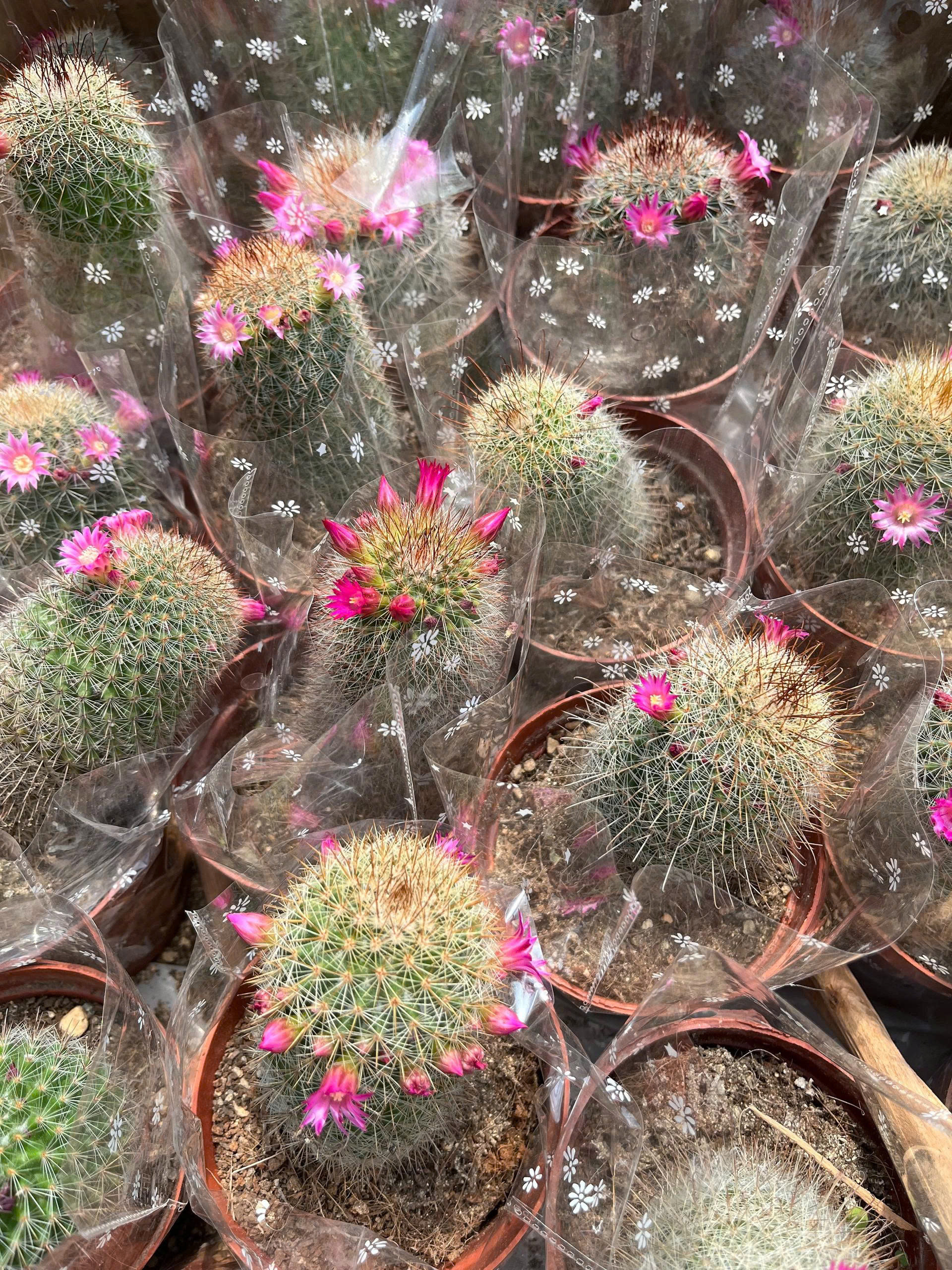 z7675849418031-1eff7ac4751a23cedf5dc433d13bcc52