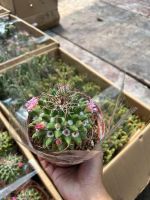 z7675861373042-a02fc939a40cef13d48a3955bce78b9e