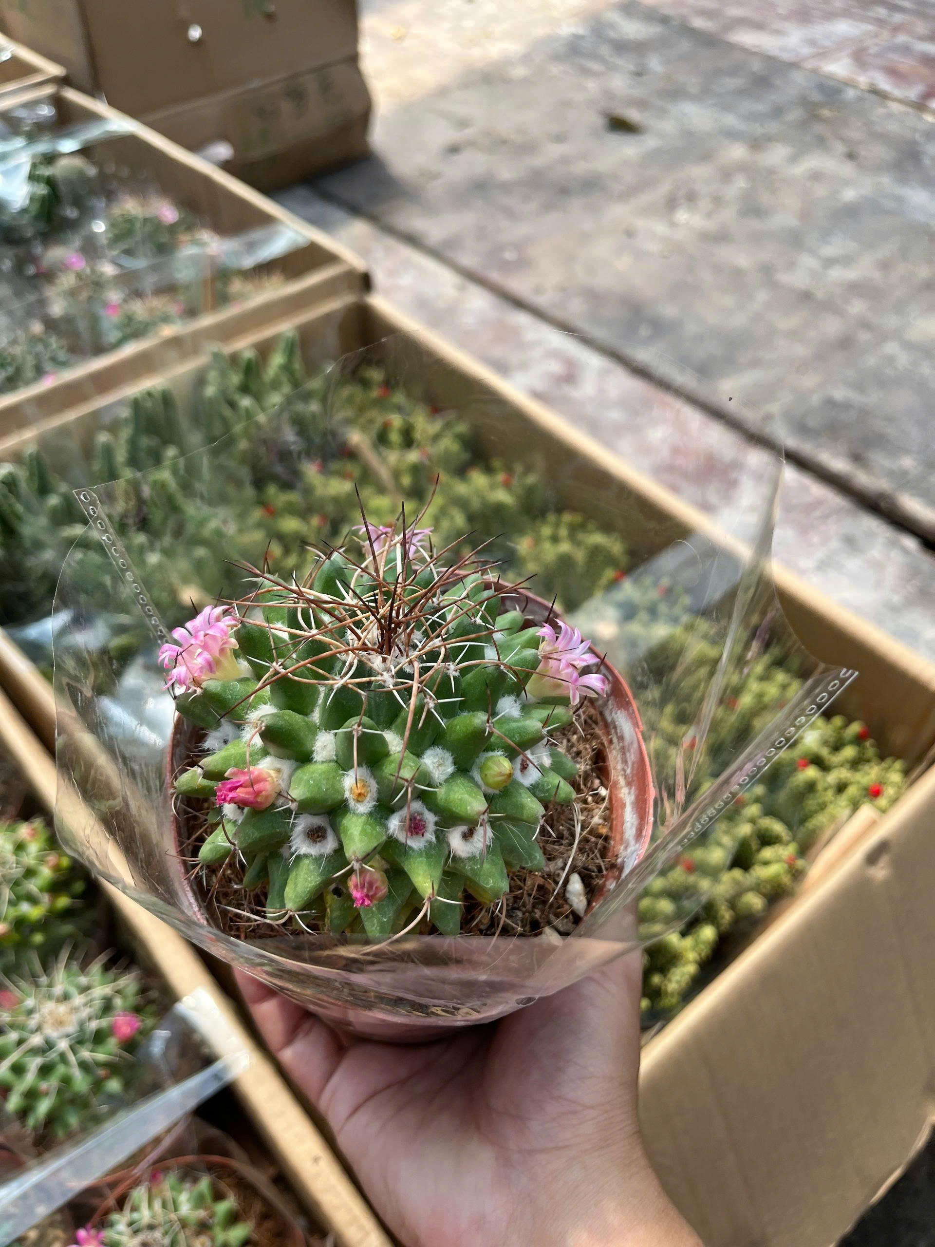 z7675861373042-a02fc939a40cef13d48a3955bce78b9e