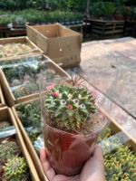 z7675861373238-ed724c02ea91d980732ba9c952fdd30c