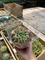 z7675861392217-381962027a7209964ebb543ecc8035d2-1