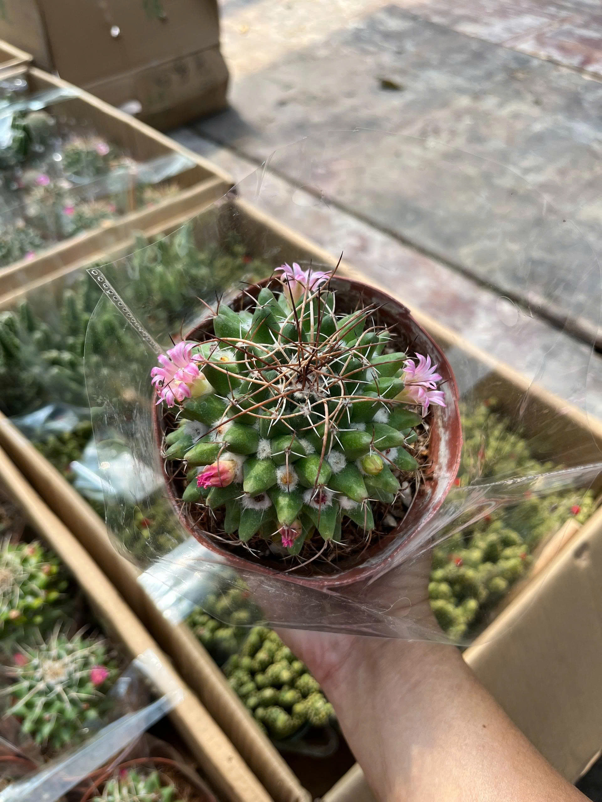 z7675861408993-675977f8e413656307c33c2e7a940543