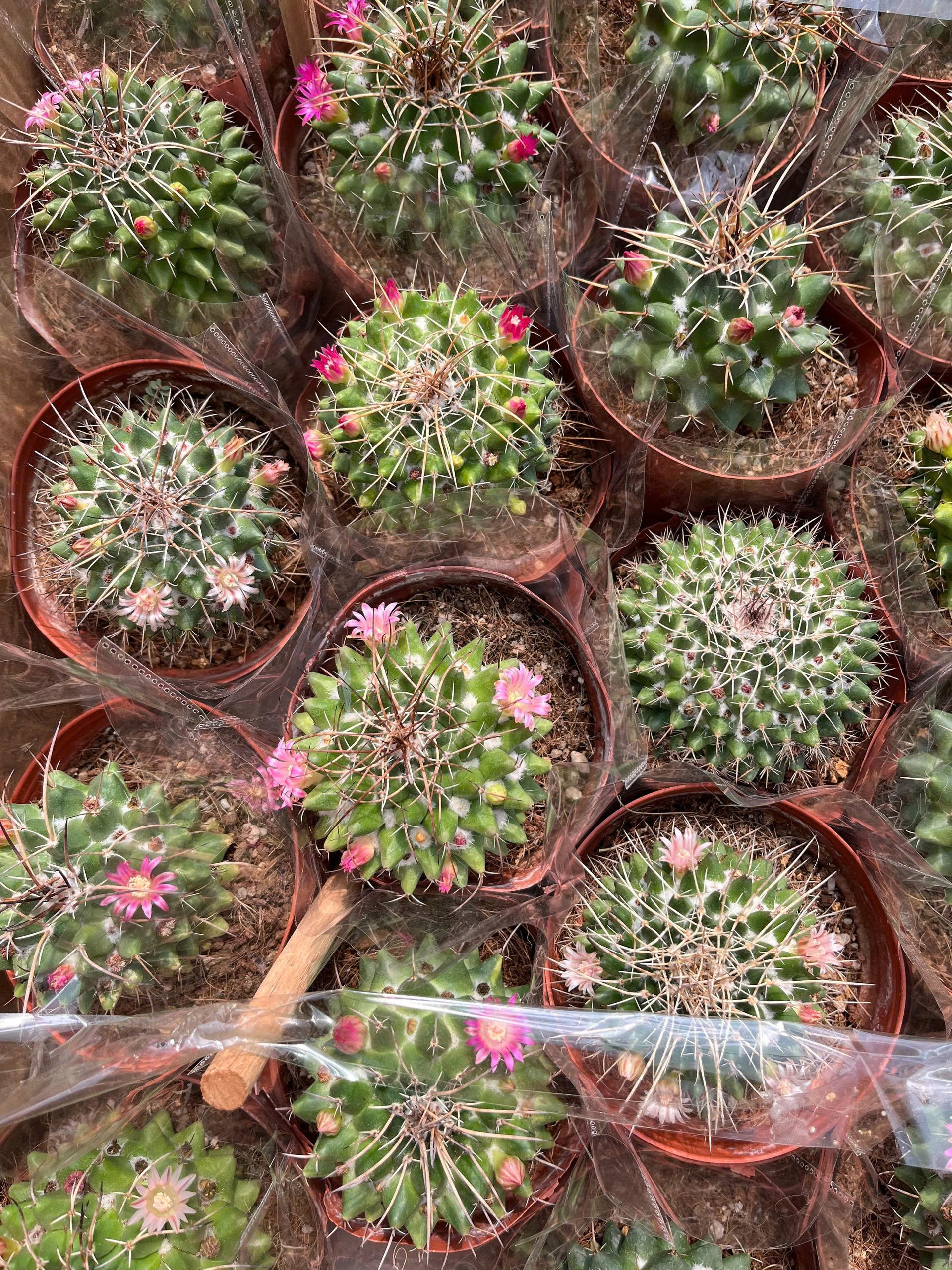 z7675861408994-f77e9bed060986015ad2dbe271e37a5f