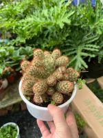 z7675888952573-64ecc8f90d7a6047d478f0e79c9151d6