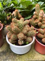 z7675888972055-90d6db76283aa7bee3e45adfe0643a9d