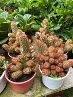 z7675888992307-ba5757aa3bcfd8884cd04dcc50849c67