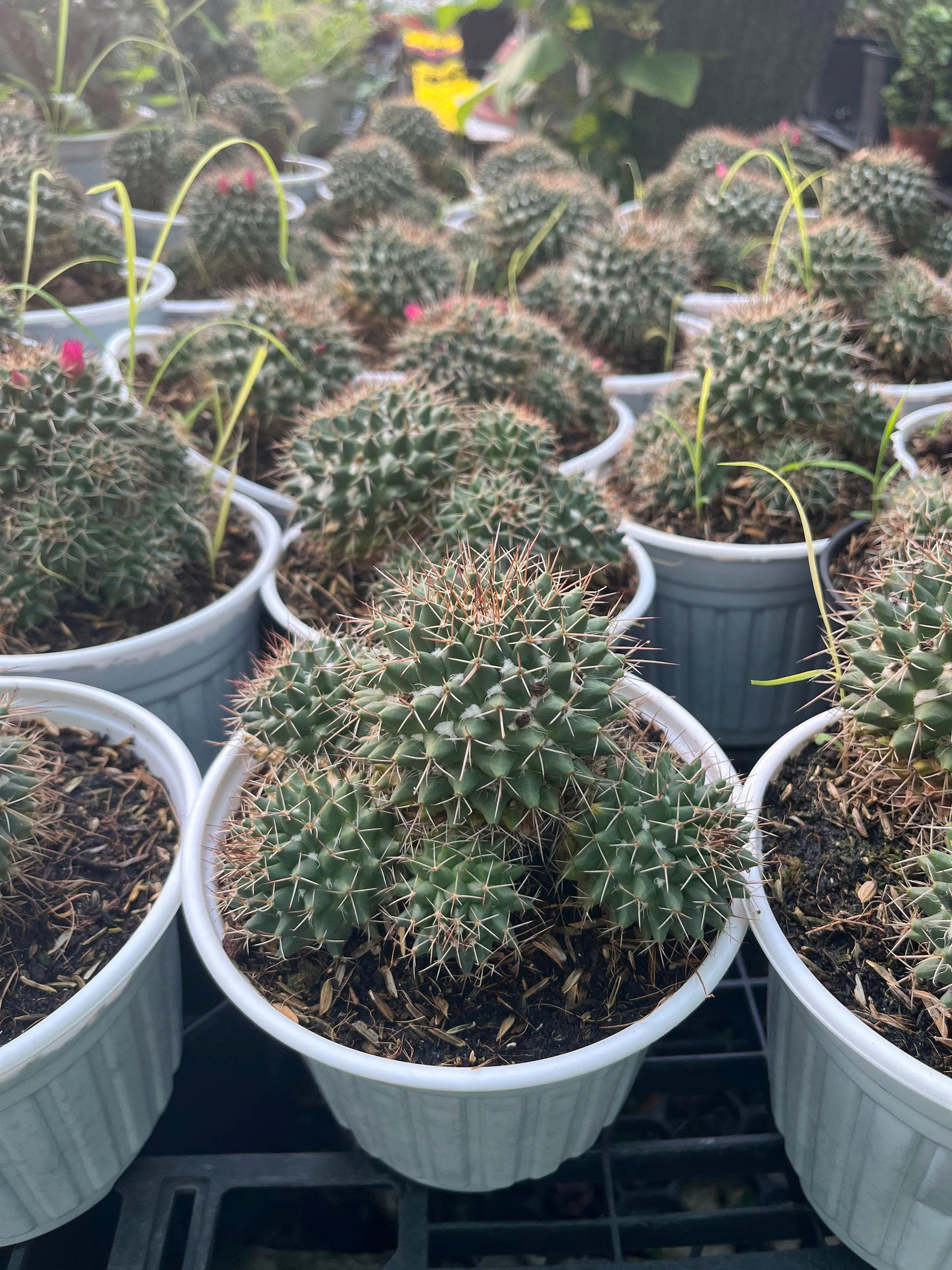 z7675931328917-656e28d5f7164590f4a9afc00dd2c707