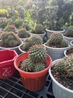 z7675931349629-777f7c70c359d7acc486f456984a98de