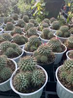 z7675931373776-7a9ce87ab0e5591600b0fedf62f2e139