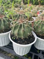 z7675986659821-5305be05de0a3fdb34b908b407701d5b