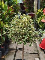 img-1760
