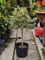 img-1763